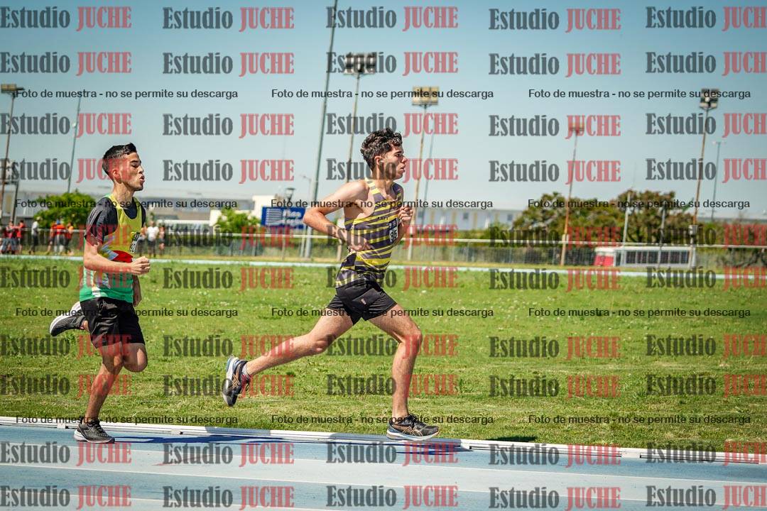 Fotos de los 800 m llanos de varones