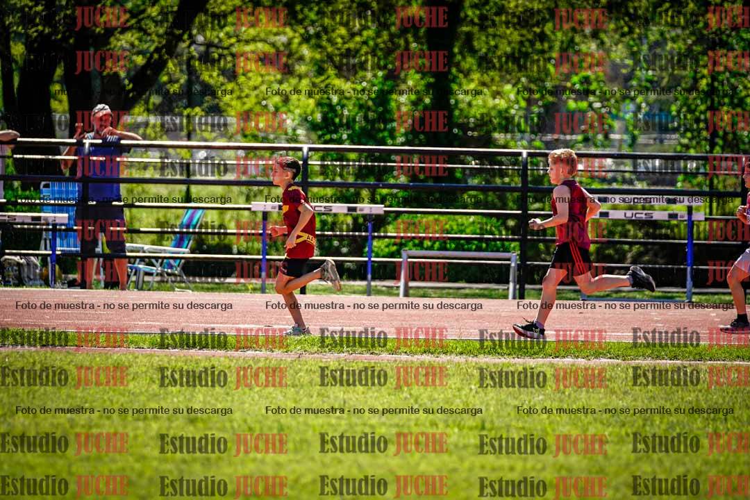 Fotos de los 1000 m llanos de varones