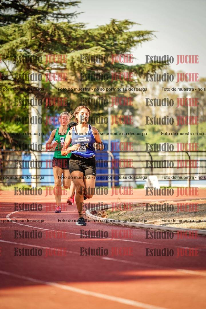 Fotos de los 800 m llanos de mujeres