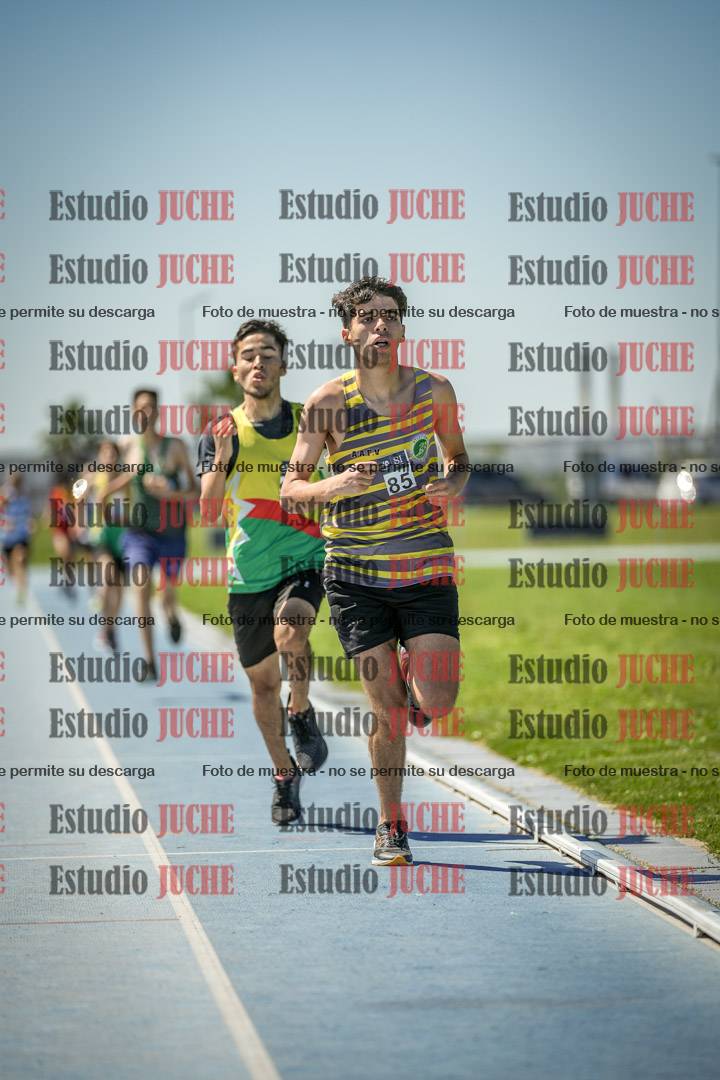 Fotos de los 800 m llanos de varones