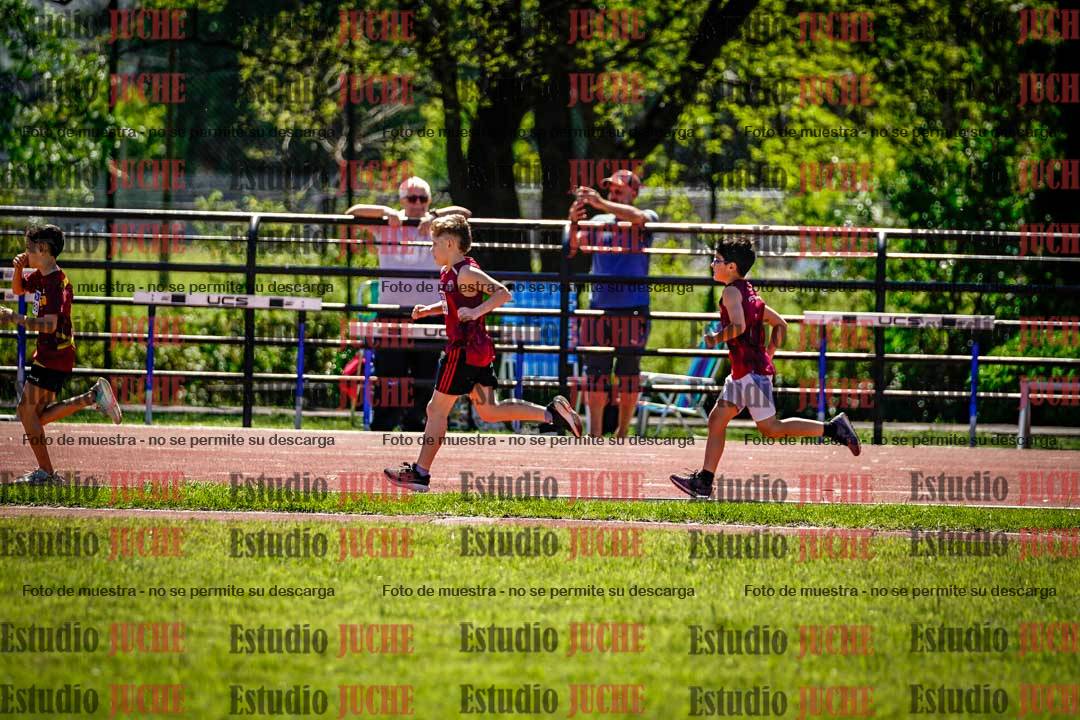 Fotos de los 1000 m llanos de varones