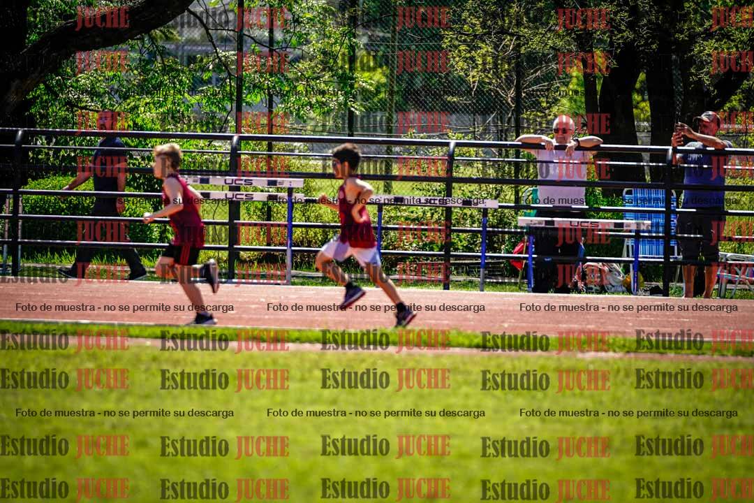 Fotos de los 1000 m llanos de varones