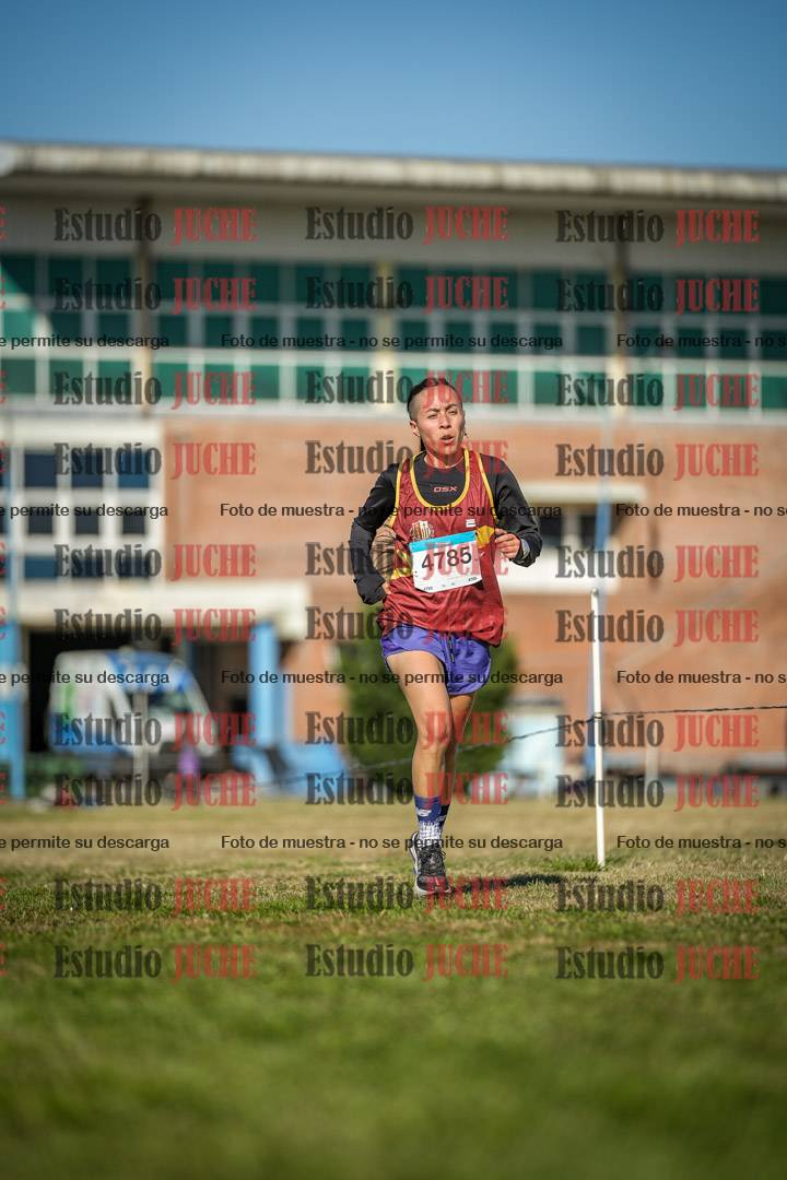 Fotos en el circuito