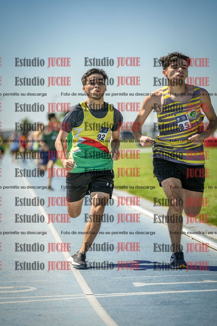 Fotos de los 800 m llanos de varones