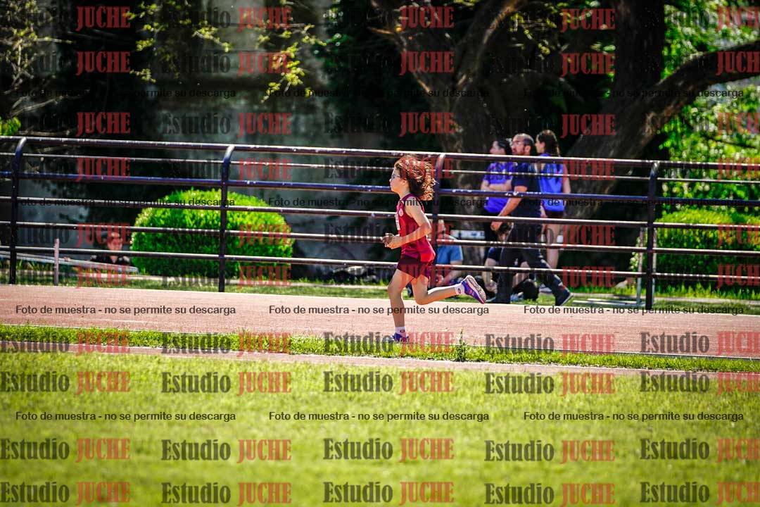 Fotos de los 1000 m llanos de varones