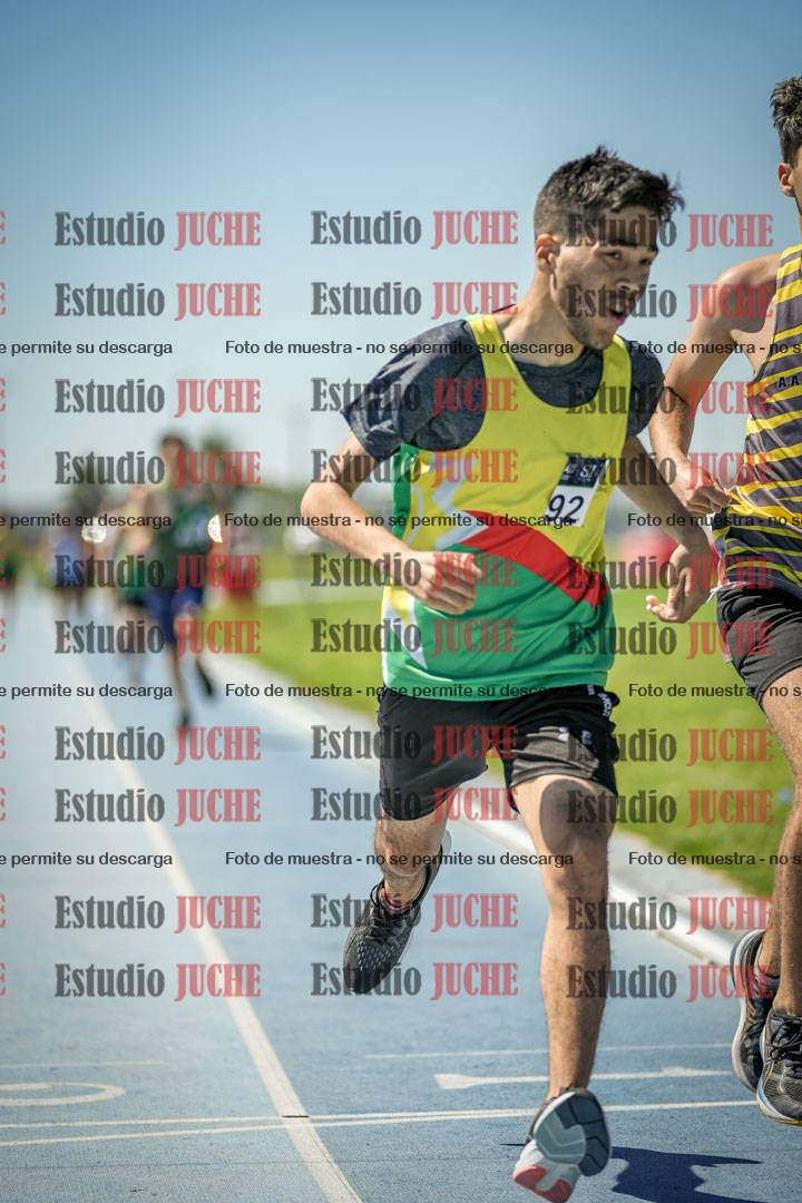 Fotos de los 800 m llanos de varones