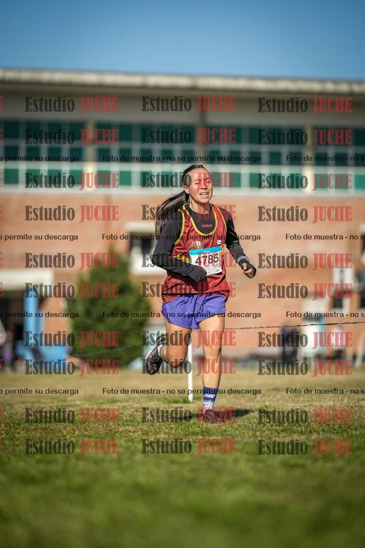 Fotos en el circuito