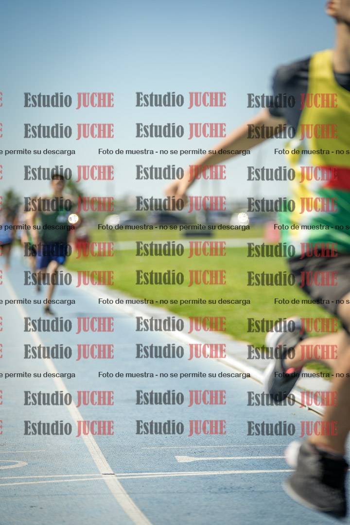 Fotos de los 800 m llanos de varones