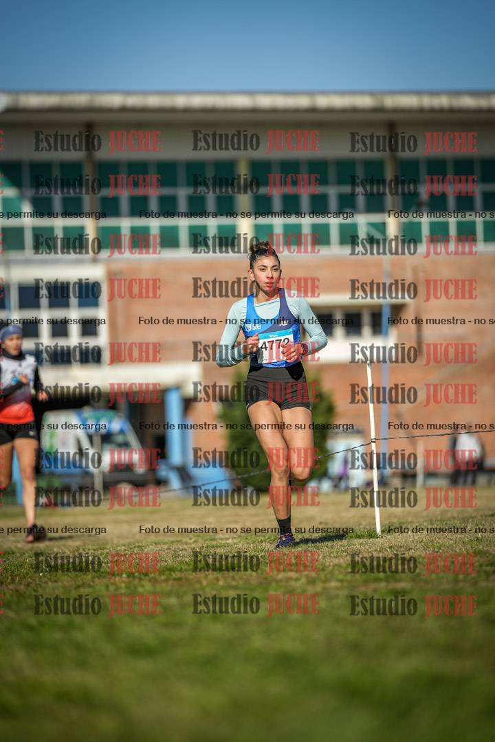 Fotos en el circuito