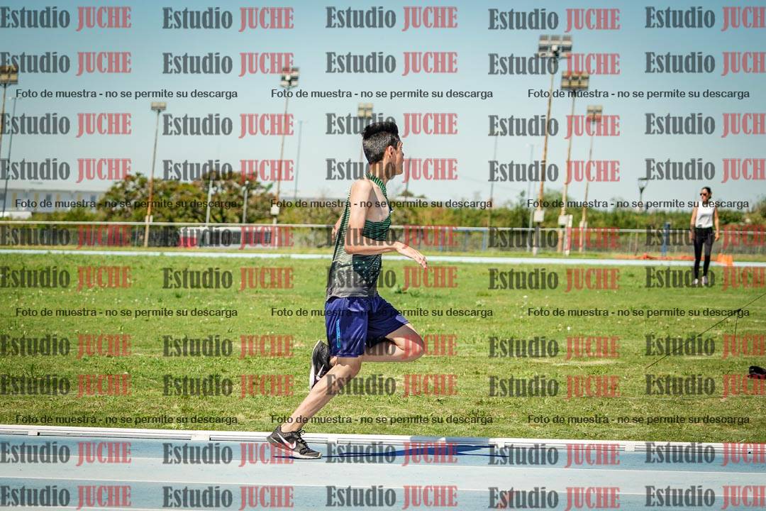 Fotos de los 800 m llanos de varones