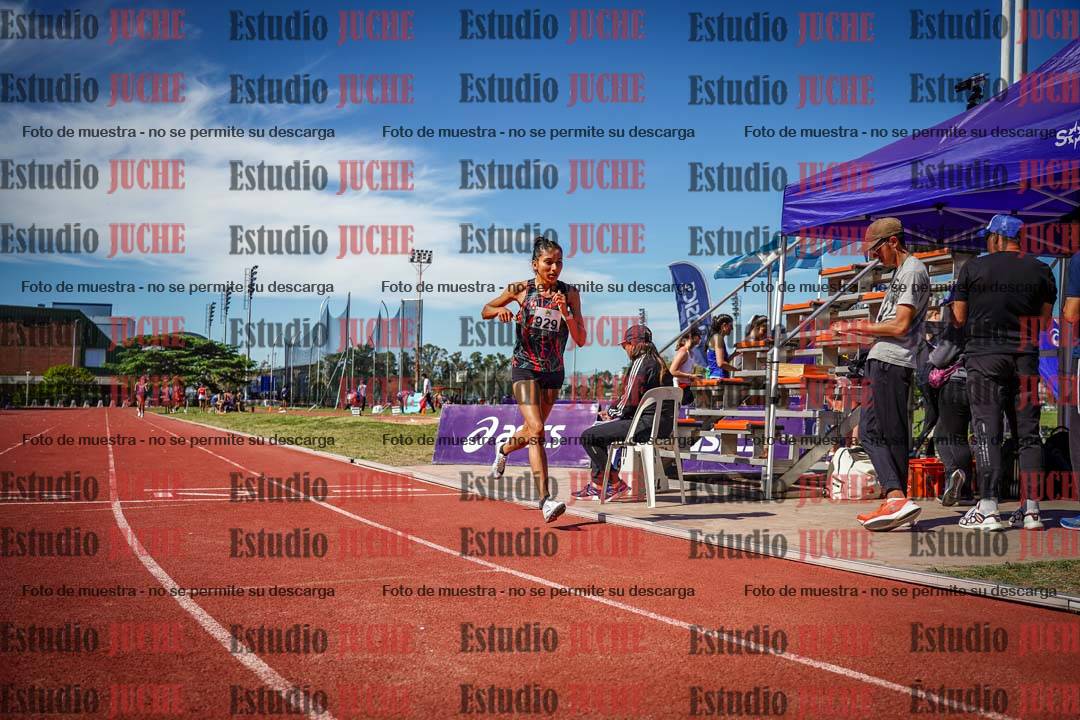 Fotos de los 5000 m llanos de mujeres