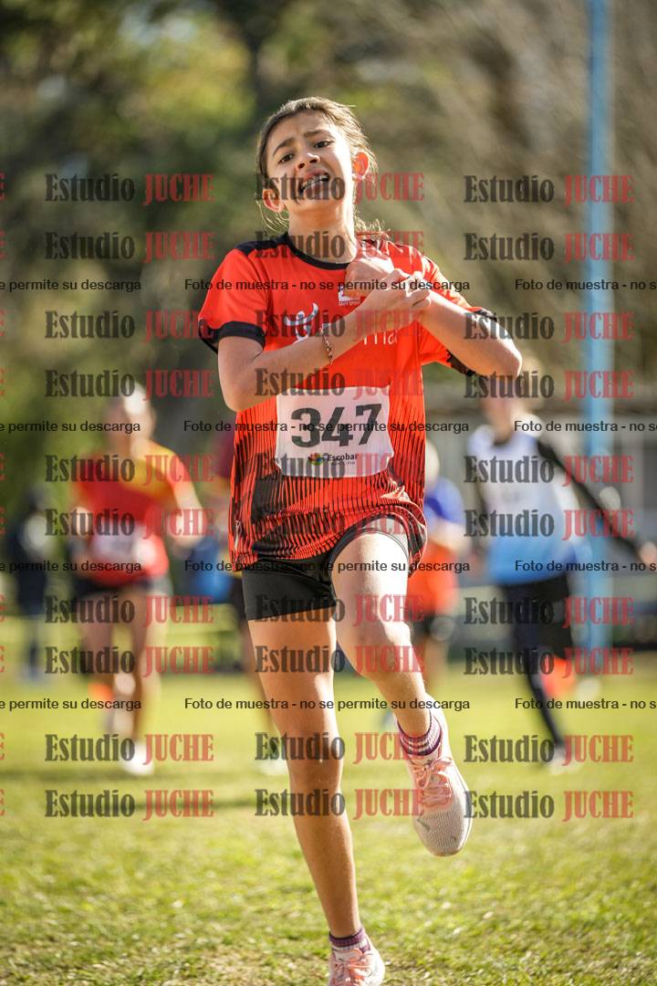 Fotos de la llegada del cross de 1500 m