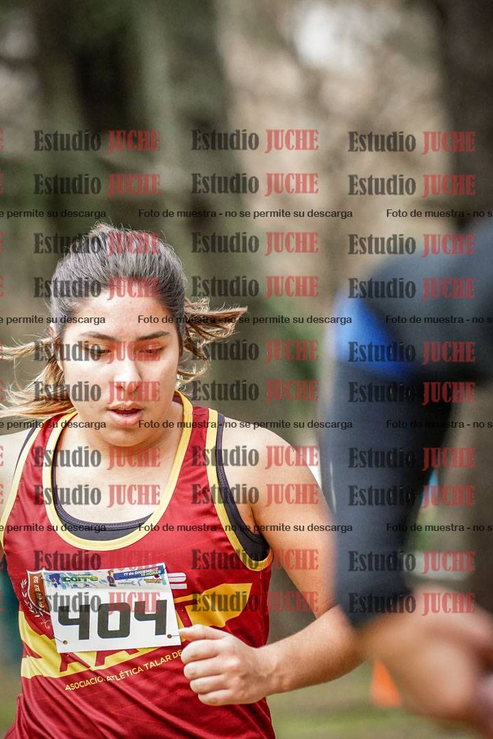 Fotos en el circuito
