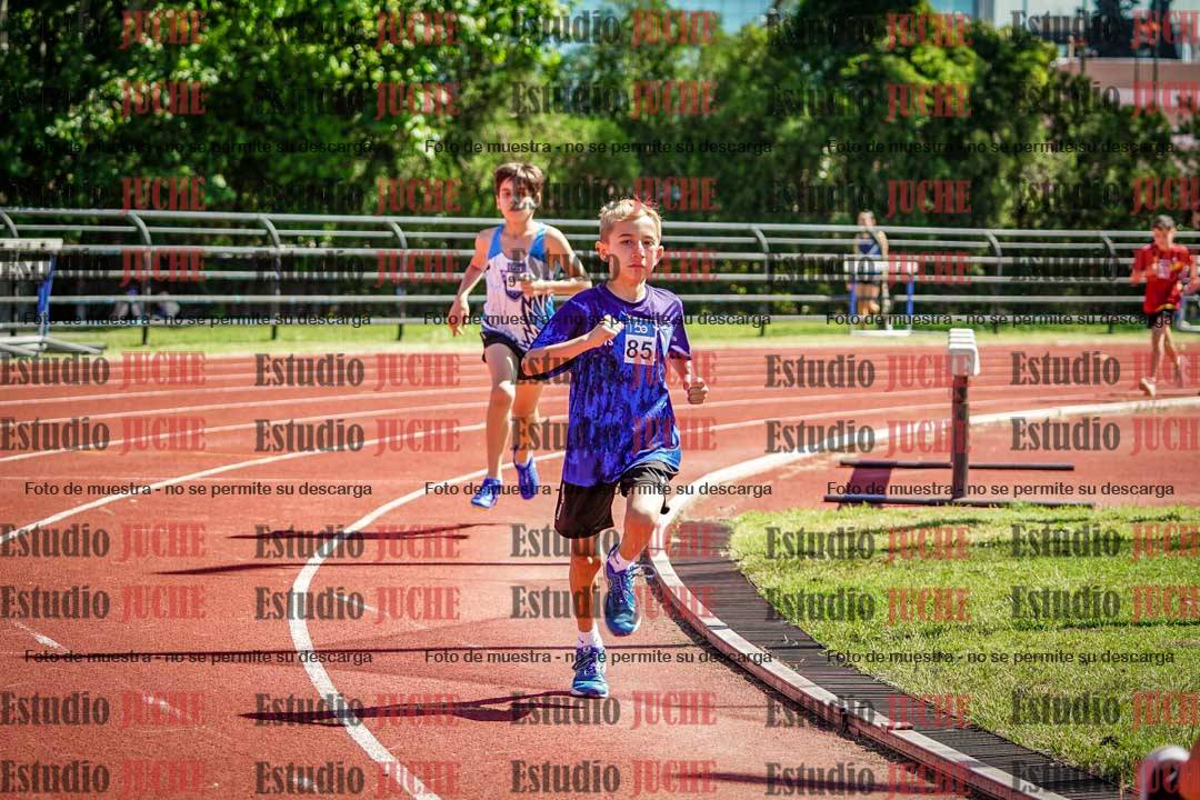 Fotos de los 1000 m llanos de varones