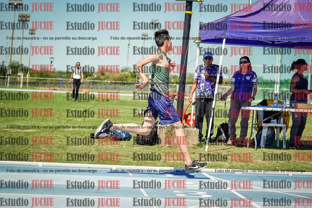Fotos de los 800 m llanos de varones