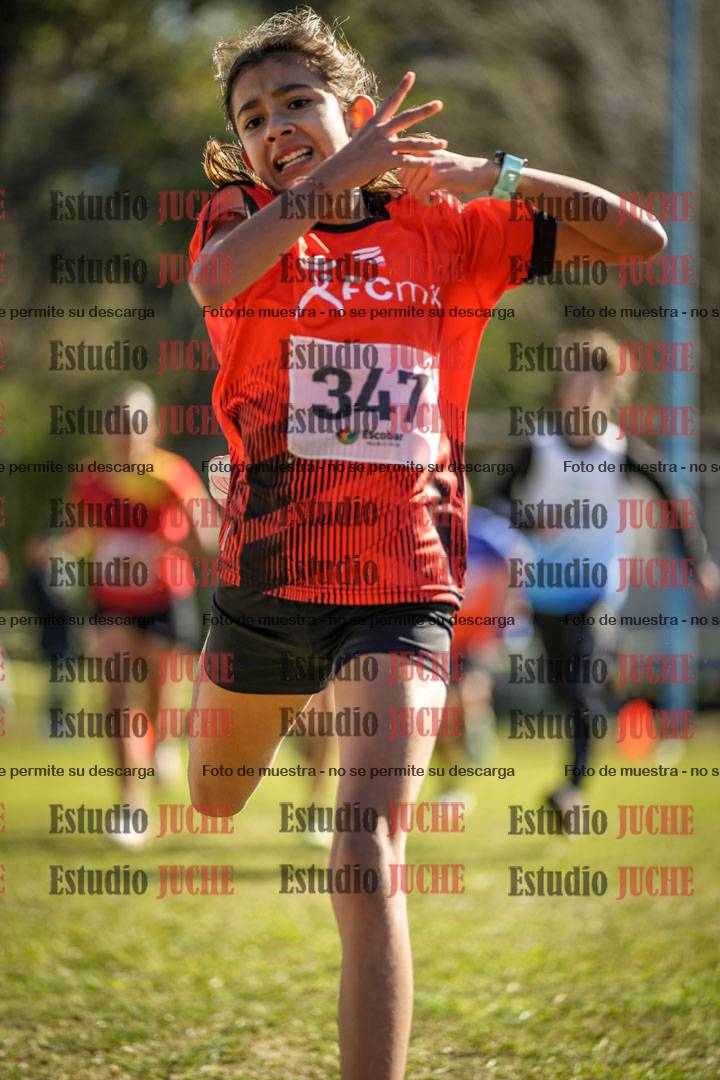 Fotos de la llegada del cross de 1500 m