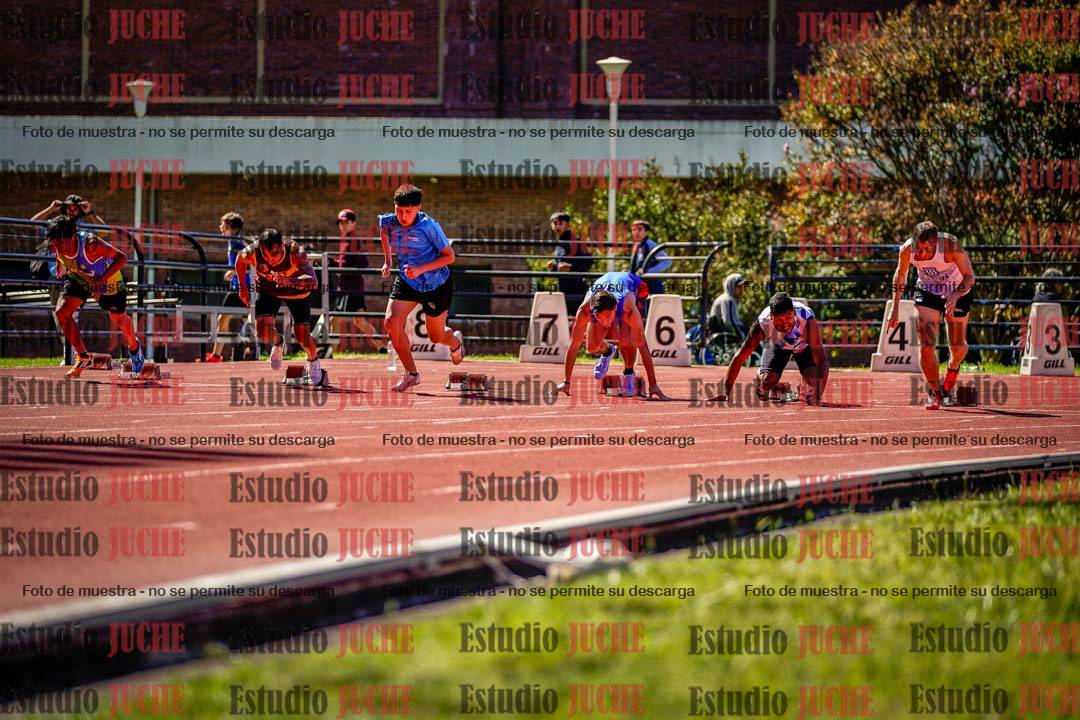 Fotos de los 100 m de varones