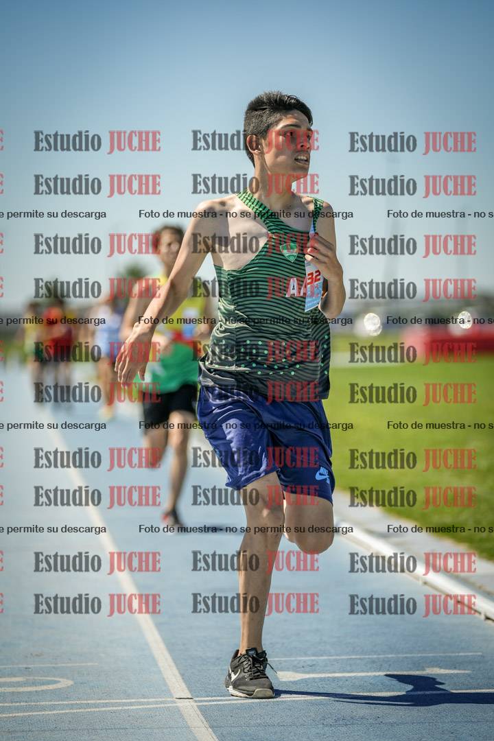 Fotos de los 800 m llanos de varones
