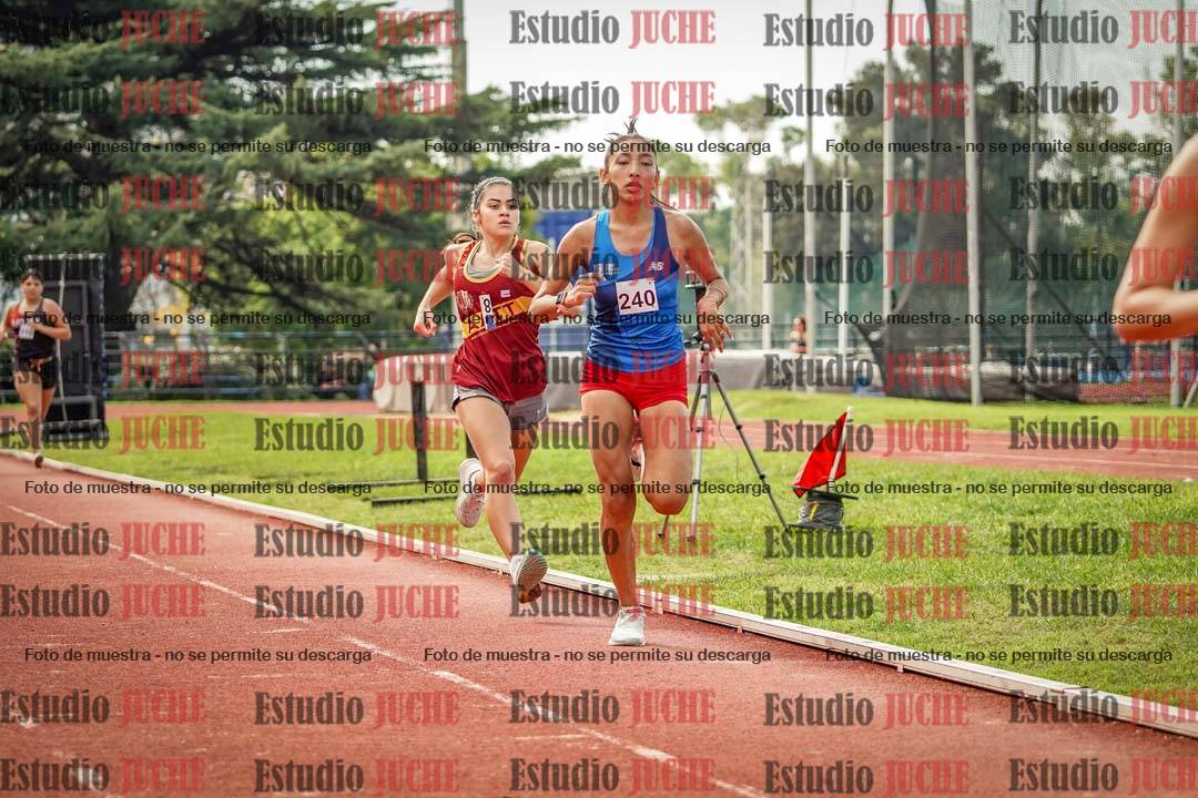 Fotos de los 800 m llanos de mujeres