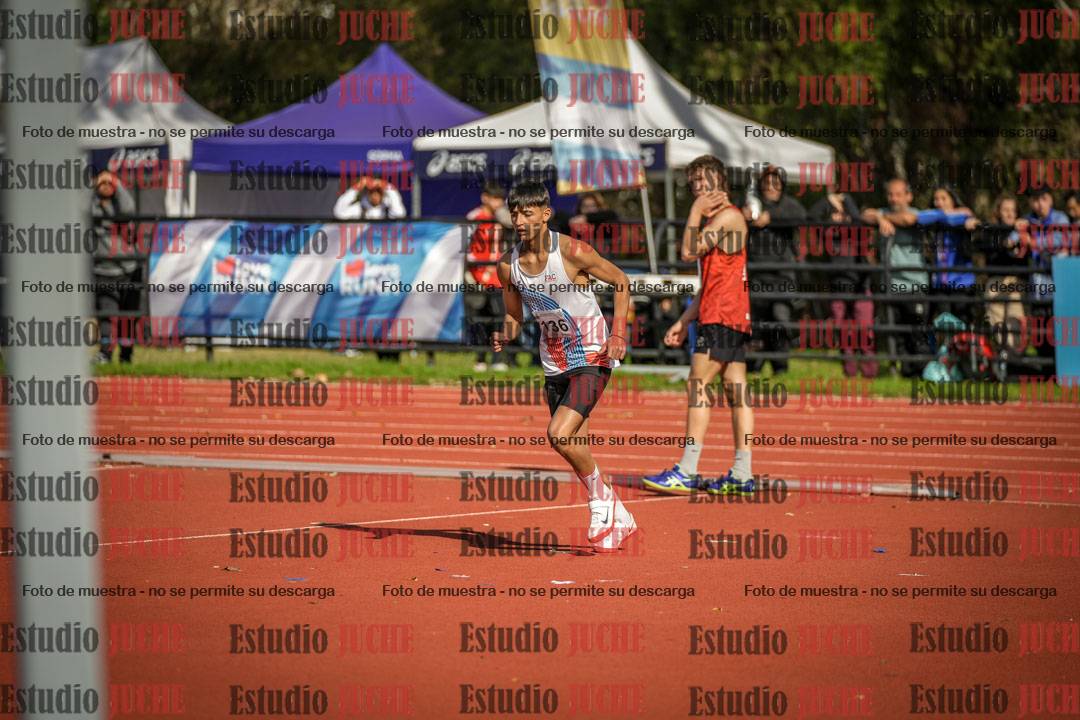 Fotos del salto en alto de varones