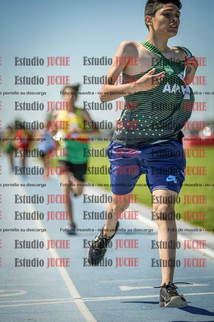 Fotos de los 800 m llanos de varones