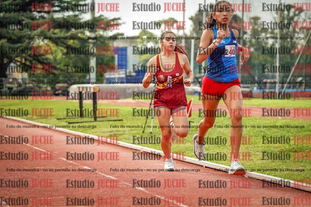 Fotos de los 800 m llanos de mujeres