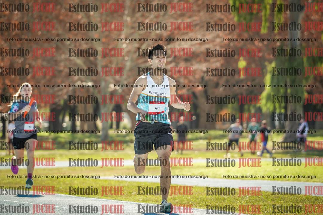 Fotos de las llegadas