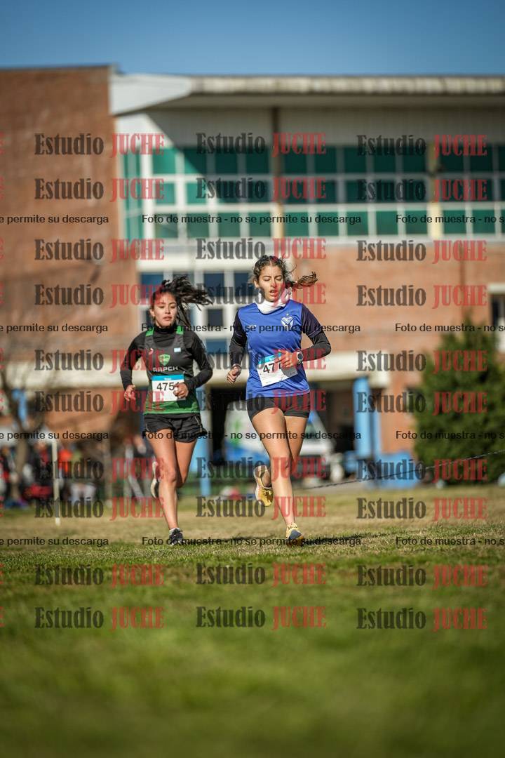 Fotos en el circuito