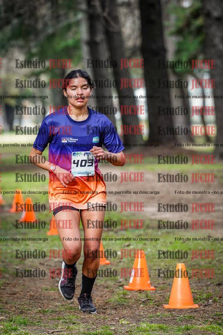 Fotos en el circuito