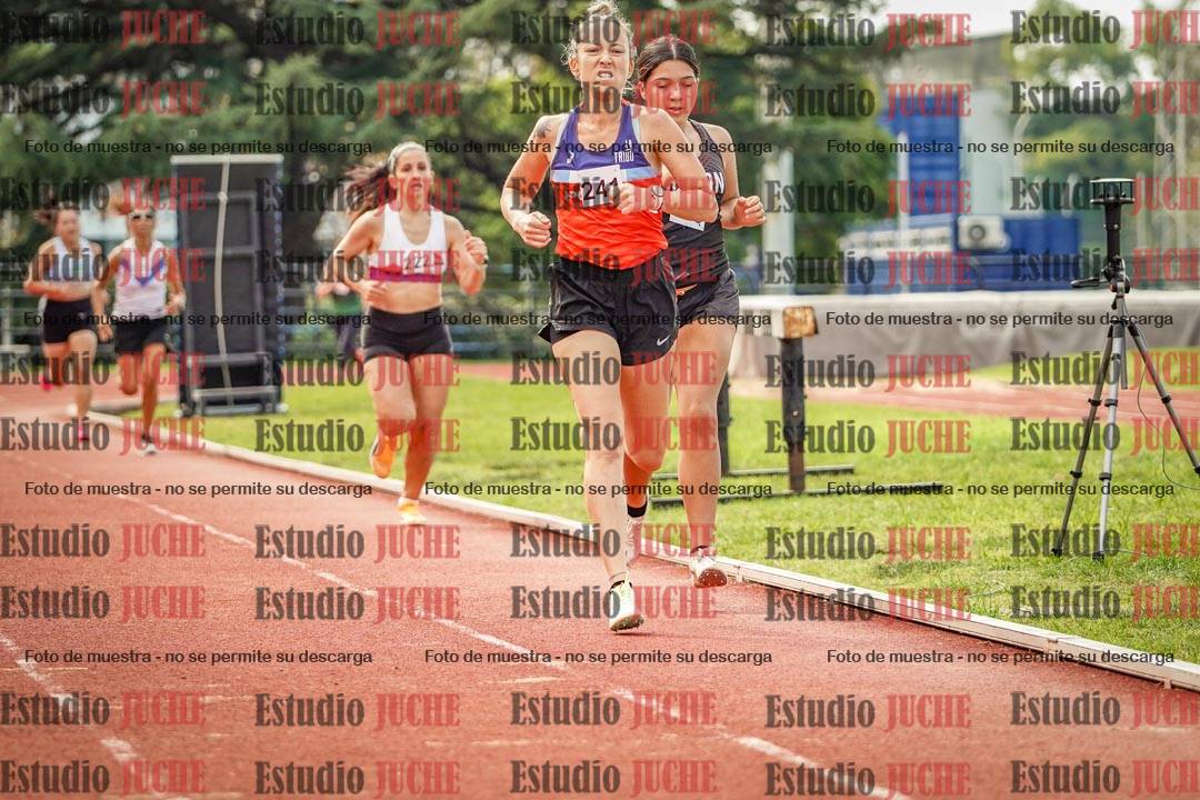 Fotos de los 800 m llanos de mujeres