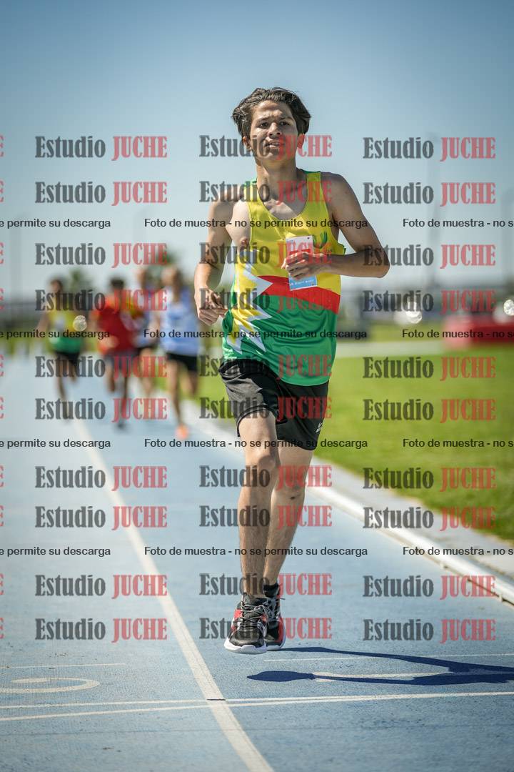 Fotos de los 800 m llanos de varones