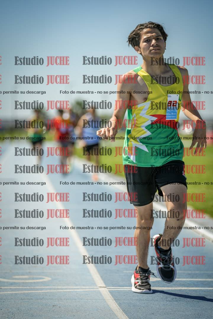 Fotos de los 800 m llanos de varones