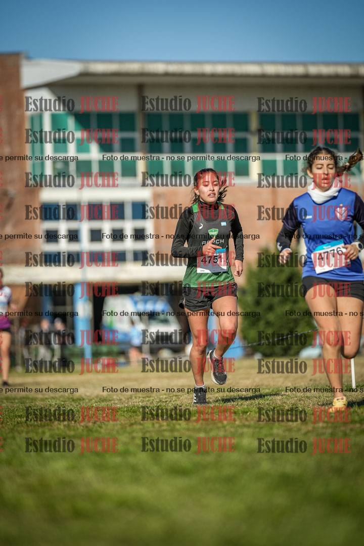 Fotos en el circuito