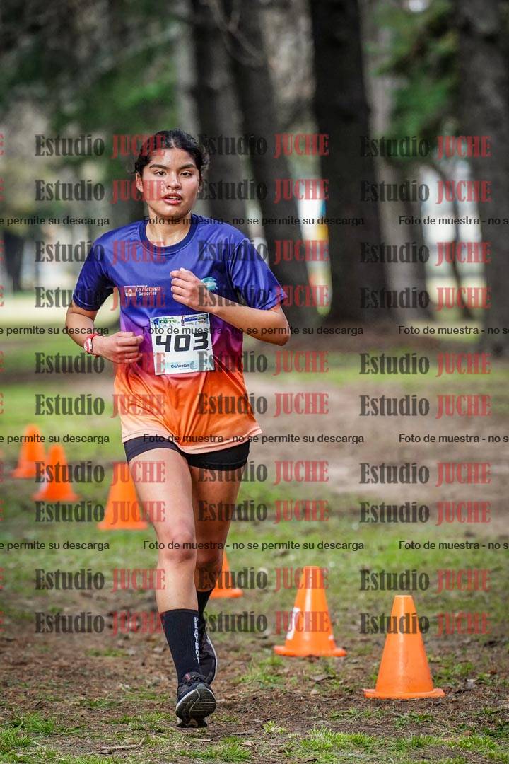 Fotos en el circuito