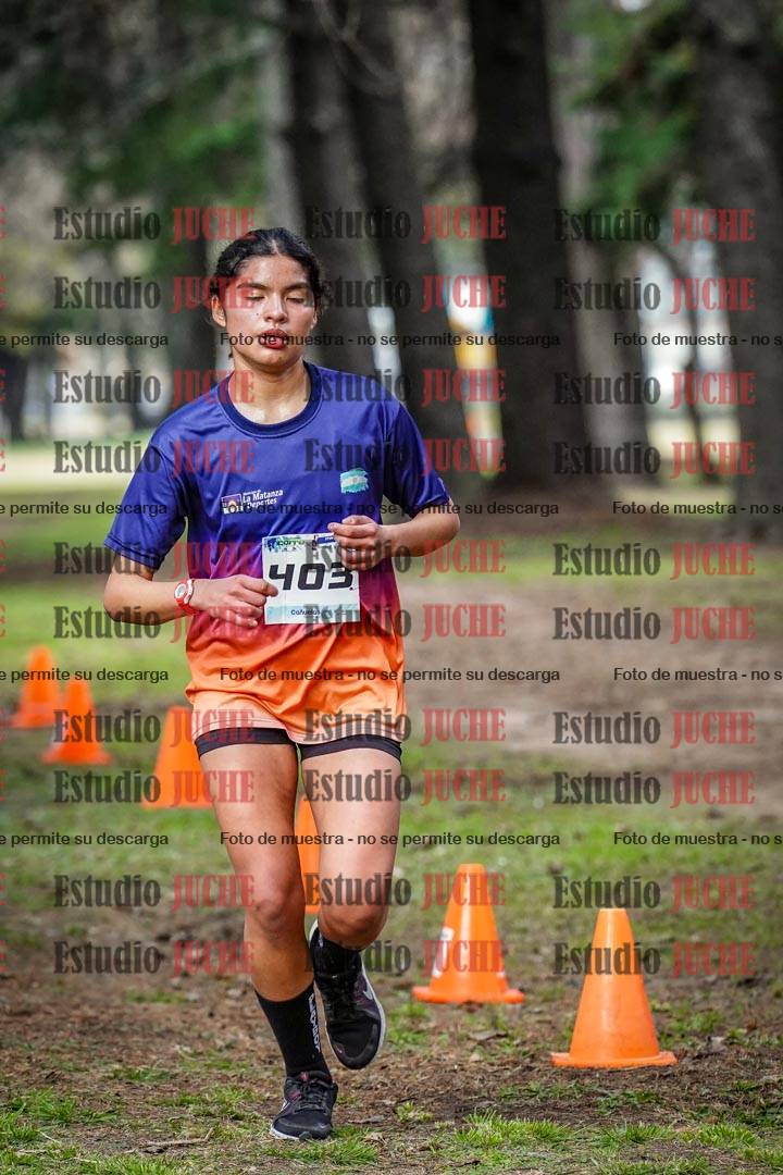 Fotos en el circuito