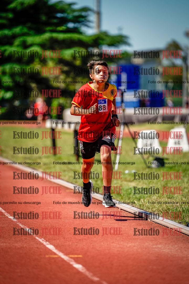 Fotos de los 1000 m llanos de varones