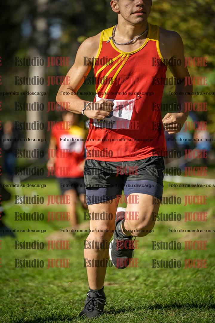 Fotos en el tercer punto del circuito