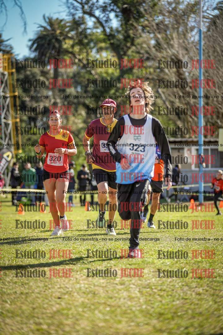 Fotos de la llegada del cross de 1500 m