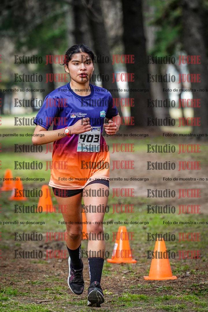 Fotos en el circuito