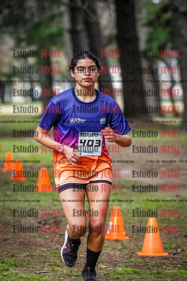 Fotos en el circuito