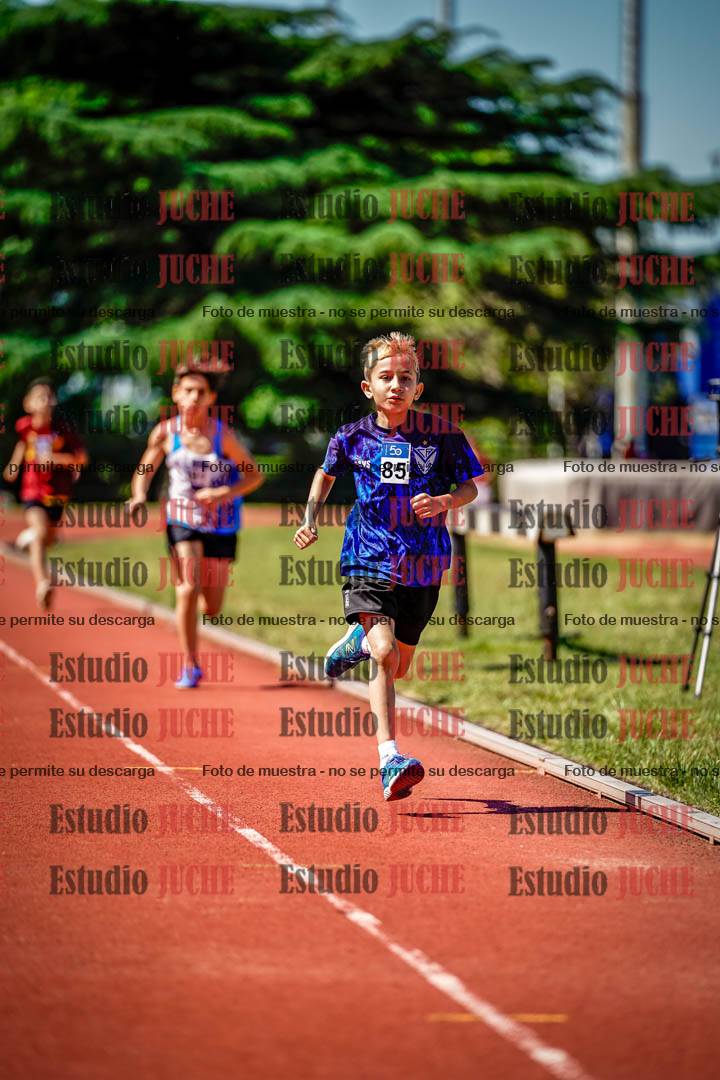 Fotos de los 1000 m llanos de varones