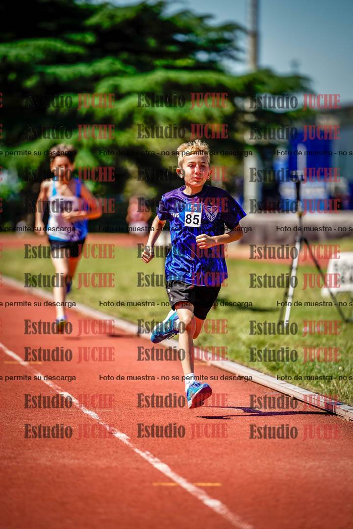 Fotos de los 1000 m llanos de varones