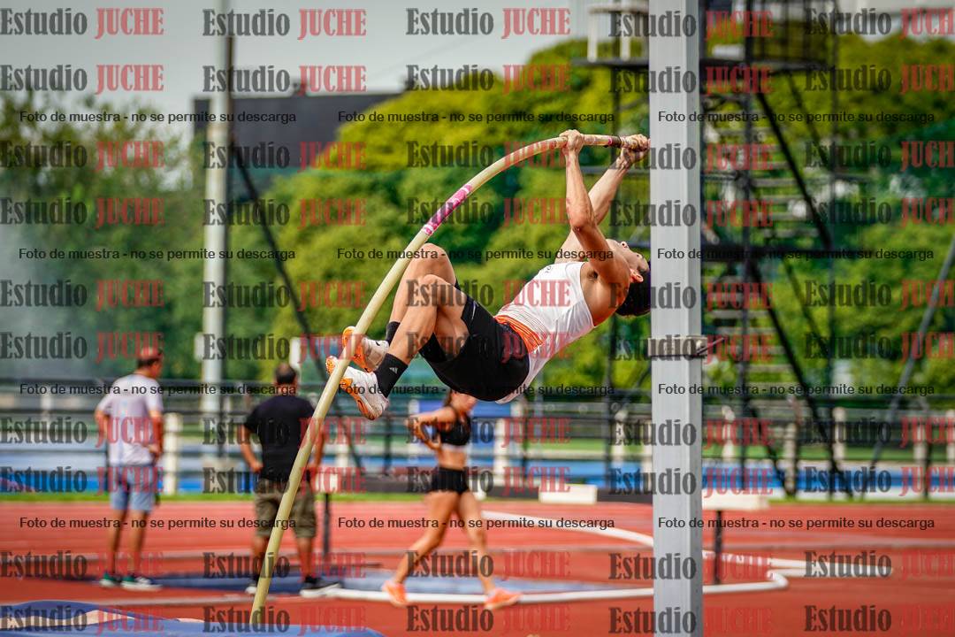 Fotos del salto con garrocha de mujeres y varones