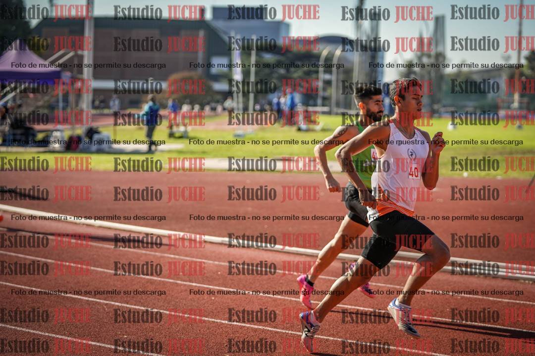 Fotos de los 800 m llanos de varones