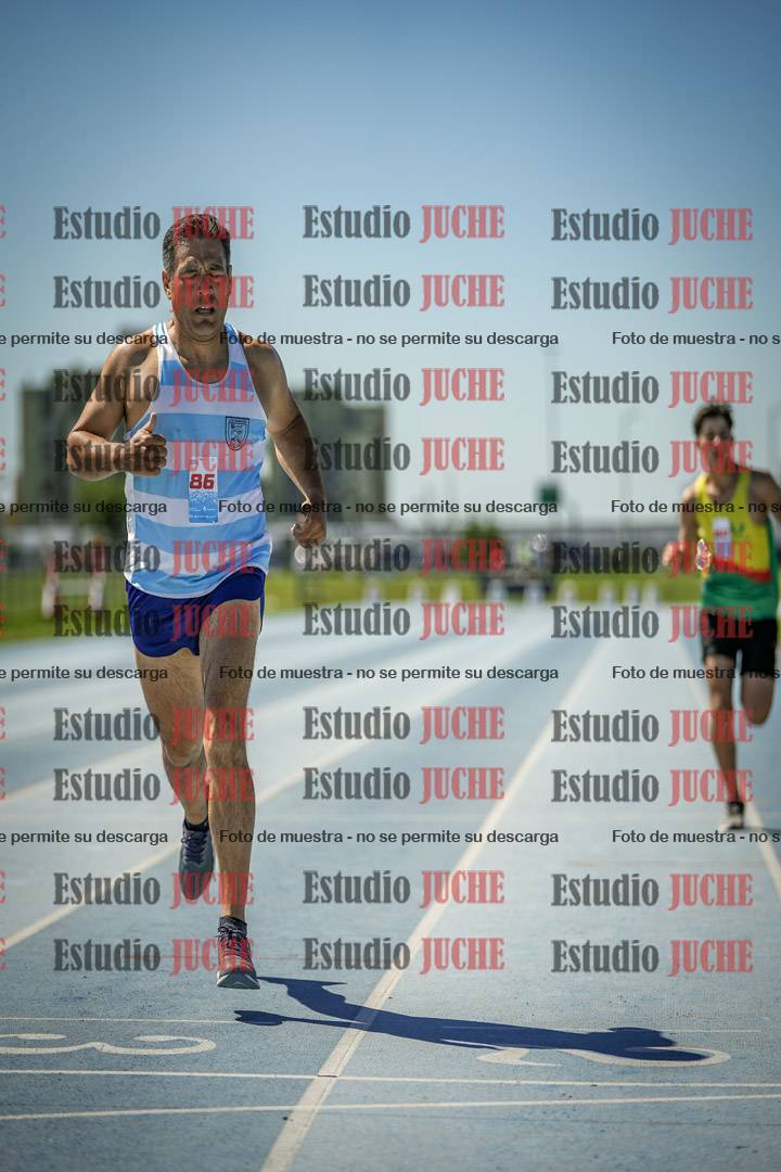 Fotos de los 800 m llanos de varones