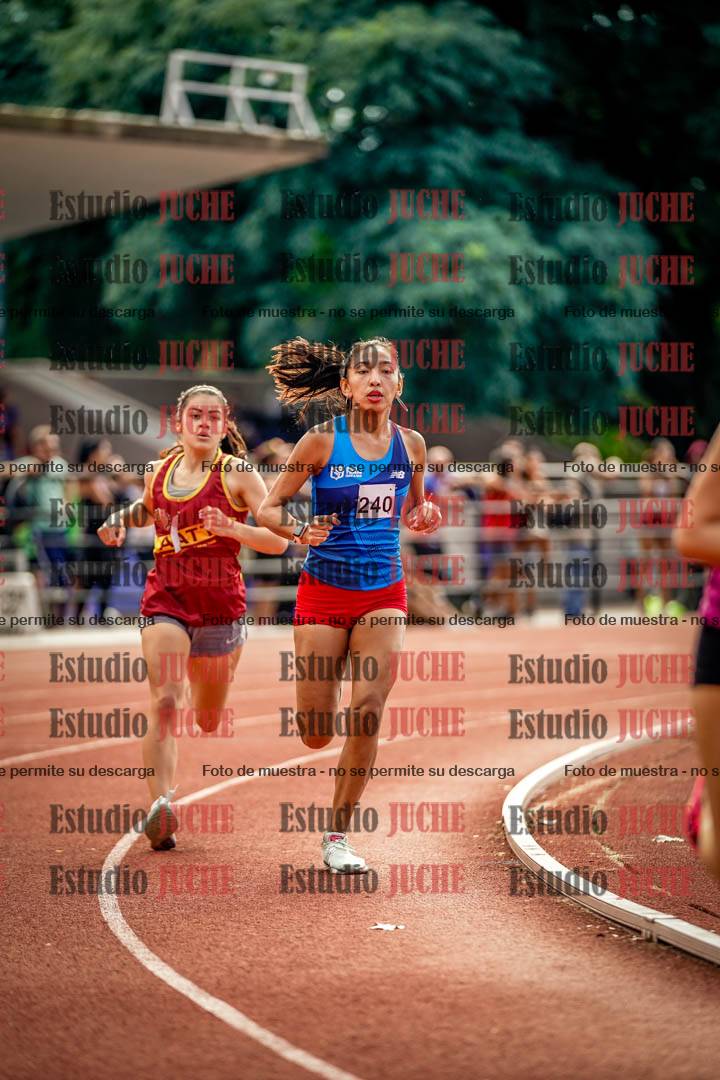 Fotos de los 800 m llanos de mujeres