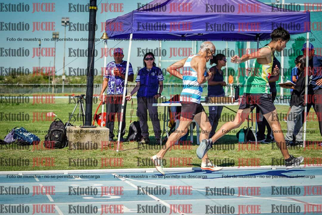 Fotos de los 800 m llanos de varones