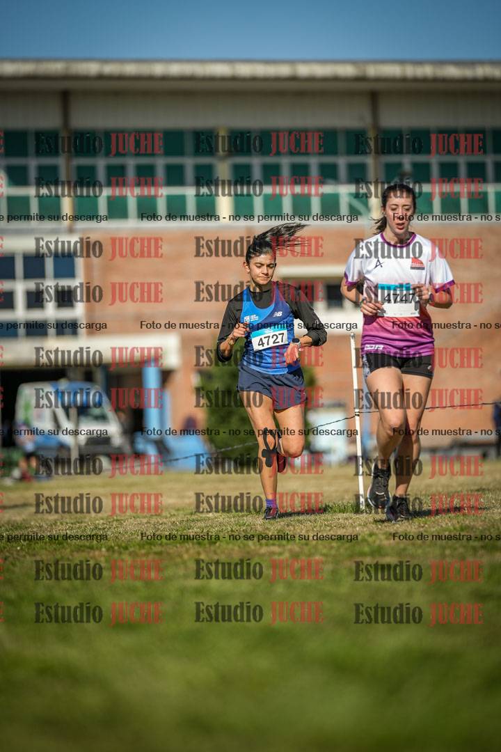 Fotos en el circuito