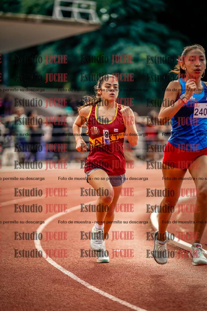 Fotos de los 800 m llanos de mujeres
