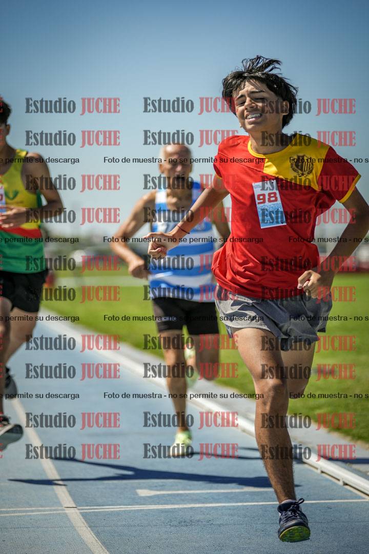 Fotos de los 800 m llanos de varones